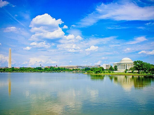 Tidal Basin Paddle Boats in West Potomac Park